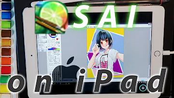 Can you use PaintTool SAI on iPad?