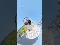 #speedsong #360ra #love #skating