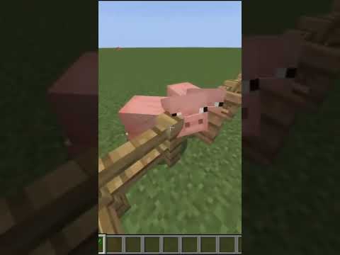 MINECRAFT | 🐷 COMO ATRAER Y REPRODUCIR CERDOS ✅ | ¿Cómo se hace? | #shorts