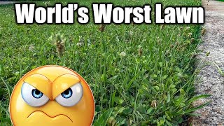 Lawn Full of Weeds - Fix Ugly Lawn Fixing Your Lawn Bermuda Grass