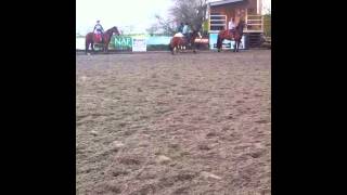 chase me Charlie on Luna, winner jumps 4ft!
