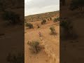 It was tough in Morocco for Skyler Howes.