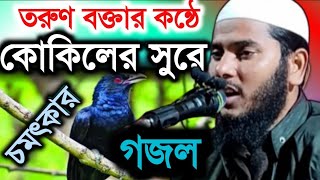 মধুর কন্ঠে নতুন গজল মাওলানা জামিরুল ইসলাম new bangla gojol Maulana jamirul islam