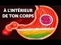 Un voyage  lintrieur de ton corps