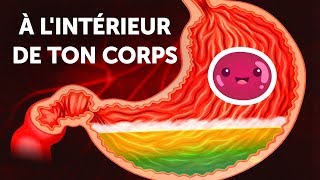 Un Voyage à l'Intérieur de ton Corps