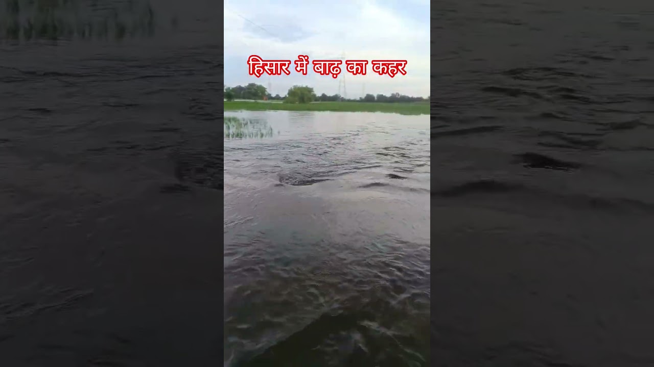 Flood In Hisar 