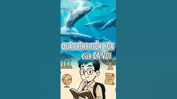 Quá trình tiến hóa của Cá Voi