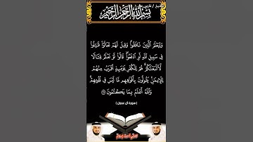 سورة آل عمران من الآية 166 إلى الآية 168 بصوت الشيخ فارس عباد برواية حفص #القرآن_الكريم #اكسبلور #vu