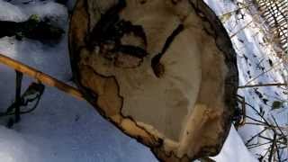 Spalted Oak, always keep your eyes open people