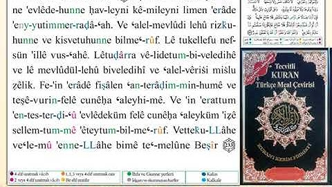 ختمة من مصحف التجويد باللغة التركية الصفحة رقم 37