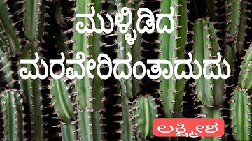 SECOND B.B.A/ third semester/ ಮುಳ್ಳಿಡಿದ ಮರವೇರಿದಂತಾದುದು/ ಲಕ್ಷ್ಮೀಶ/ Mullidida maraveridantadudu