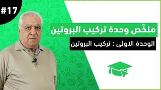 ملخّص وحدة تركيب البروتين : ( مرحلتي الاستنساخ و الترجمة ) #17