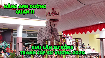 Múa Lân Hằng Anh Đường - Giải Lân Sư Rồng Tranh Cúp Sư Vương Tỉnh Bình Dương 2020 | Lion Dance