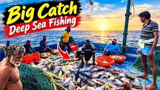 Big Catch on the Open Sea | Deep Sea Fishing Adventure