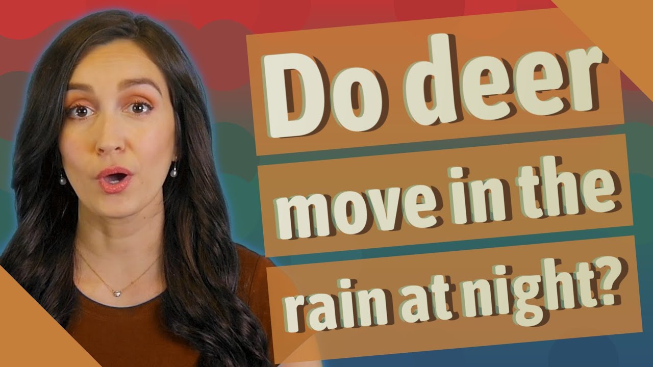 Do deer move in the rain at night? YouTube