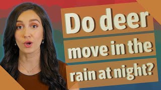 Do deer move in the rain at night?