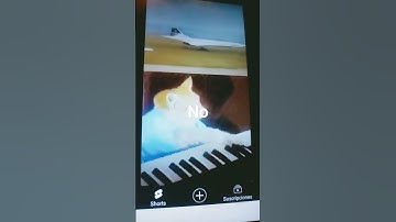 #keyboardcat #edit #art #flipaclip #fnaf #meme