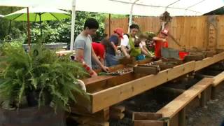 ABC TV video of Elijah Mountain Gem Mine and Rock Shop Elijah Mountain Gem Ine