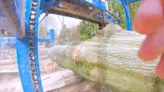 RAW FOOTAGE OF TREE BEING CUT INTO SLABS