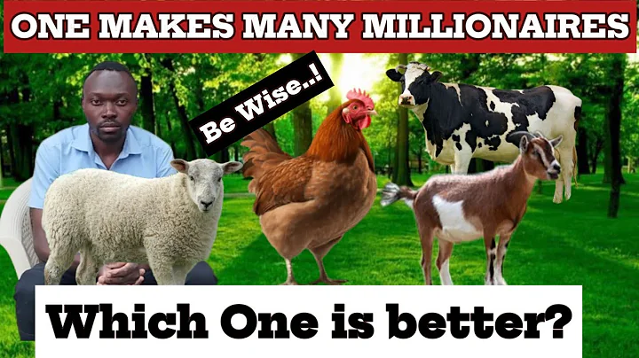 Poultry vs Goats vs Sheep vs Cattle – Which Farming Makes the Most Money?