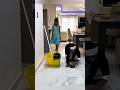 الفتاة المدللة أ جبرت على العمل خادمة  