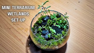 MAKING A WABI KUSA - MINI TERRARIUM SETUP STEP BY STEP
