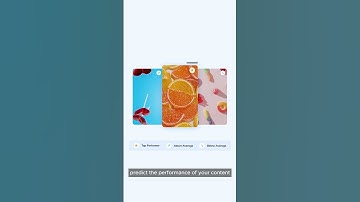 How to predict content performance before you post | Dash Hudson
