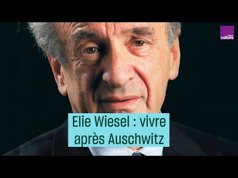 Vídeo: Quina importància tenen les sabates Elie Wiesel?