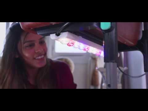 video phone beyonce mp3 Herbstation - A compact indoor garden from the makers of Altifarm