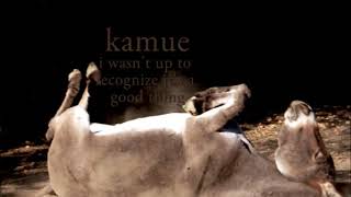 Kamue - I Wasn&#39;t Up