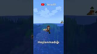 Minecrafttaki En İyi̇ Odun Türü Hangisidir?