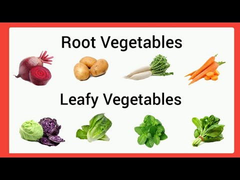 root vegetables and leafy vegetables for kindergarten root vegetables for ukg leafy vegetables ukg youtube