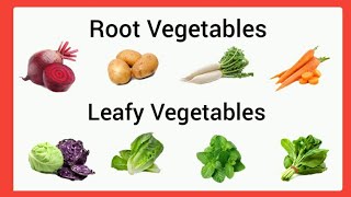 root vegetables and leafy vegetables for kindergarten root vegetables for ukg leafy vegetables ukg youtube