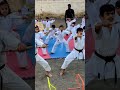 Karatemartialselfdefensecombatsport