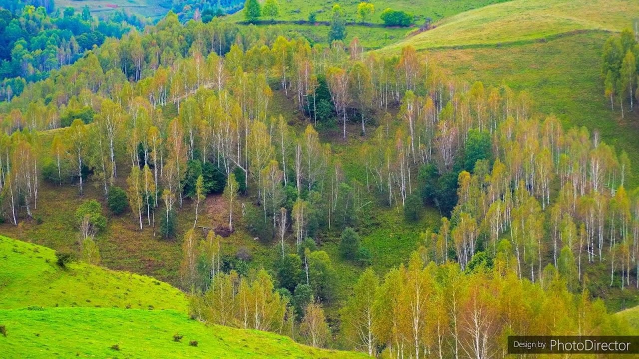 Panorama Dumești Salciua , Apuseni, Transilvania #Ttansylvanua #panoramaDumestiSalciua #nature