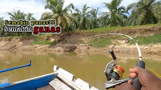 BERTUBI-TUBI! Seganas Inikah Mancing Ikan Baung Di Siang Hari BERTUBI-TUBI! Seganas Inikah Mancing Ikan Baung Di Siang Hari