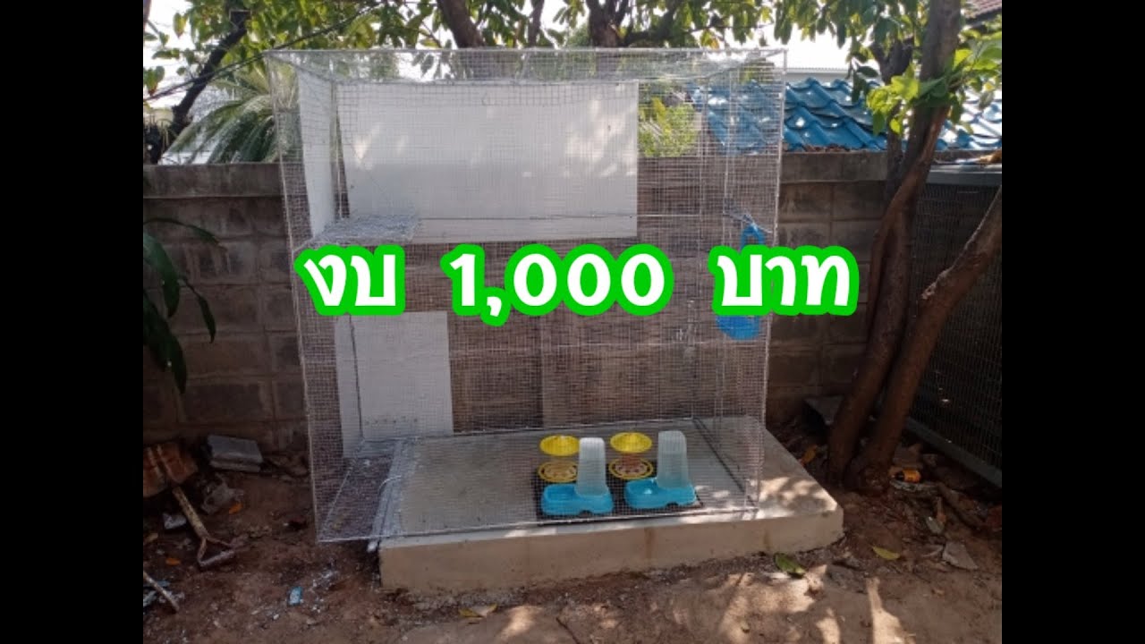 ทำกรงนกขนากใหญ่งบ​ 1,000​ ep.1