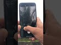 iPhone X camera zoom test #iphone #applephone #cameratest #zoomtest #camera