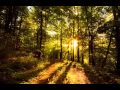 Paul van Dyk - nothing but you - Nature mix