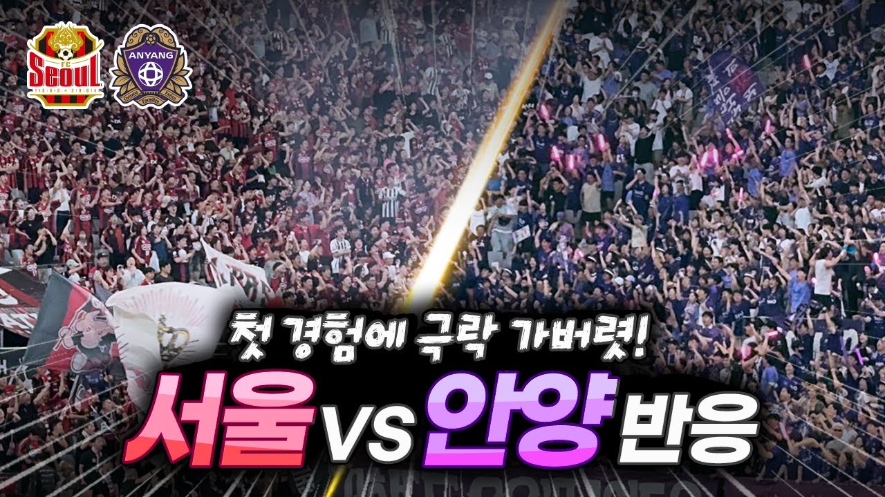 안양팬들 너무 좋아하는데?ㄷㄷ 경기 후 양 팀 팬들 극과 극 반응 / 서울vs안양 골, 응원 리액션