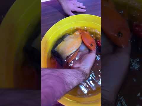 قاتل ماهی ها😤😤😤