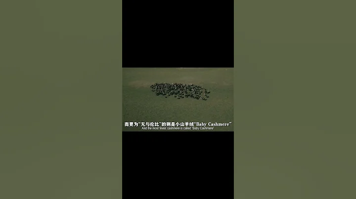#Loro Piana #羊绒#朱珠#宋佳#赵丽颖 LVMH集团旗下的顶奢品牌 真的不必再藏了！ - 天天要闻