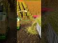 cut wheat with harvester and deliver wheat in fs18