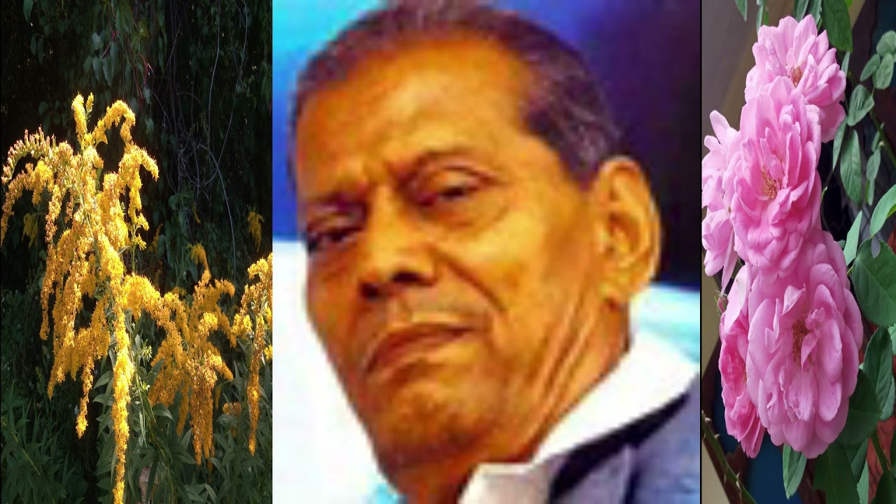 Hindi song Sinhala song Compilation 168 Adare nisa neda mula une-Deewana aadmi ko(Kalitopi lal rumal