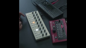 T1 + Roland D-05 + Nord Drum2