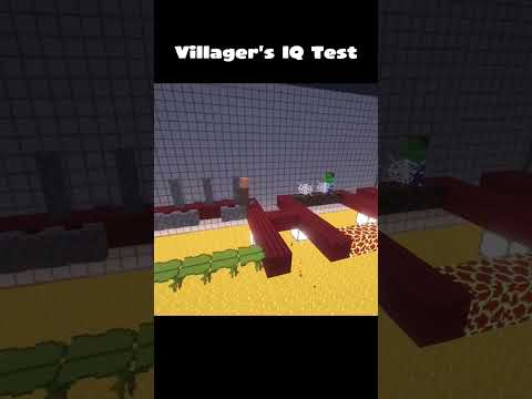 Villager's IQ Test
