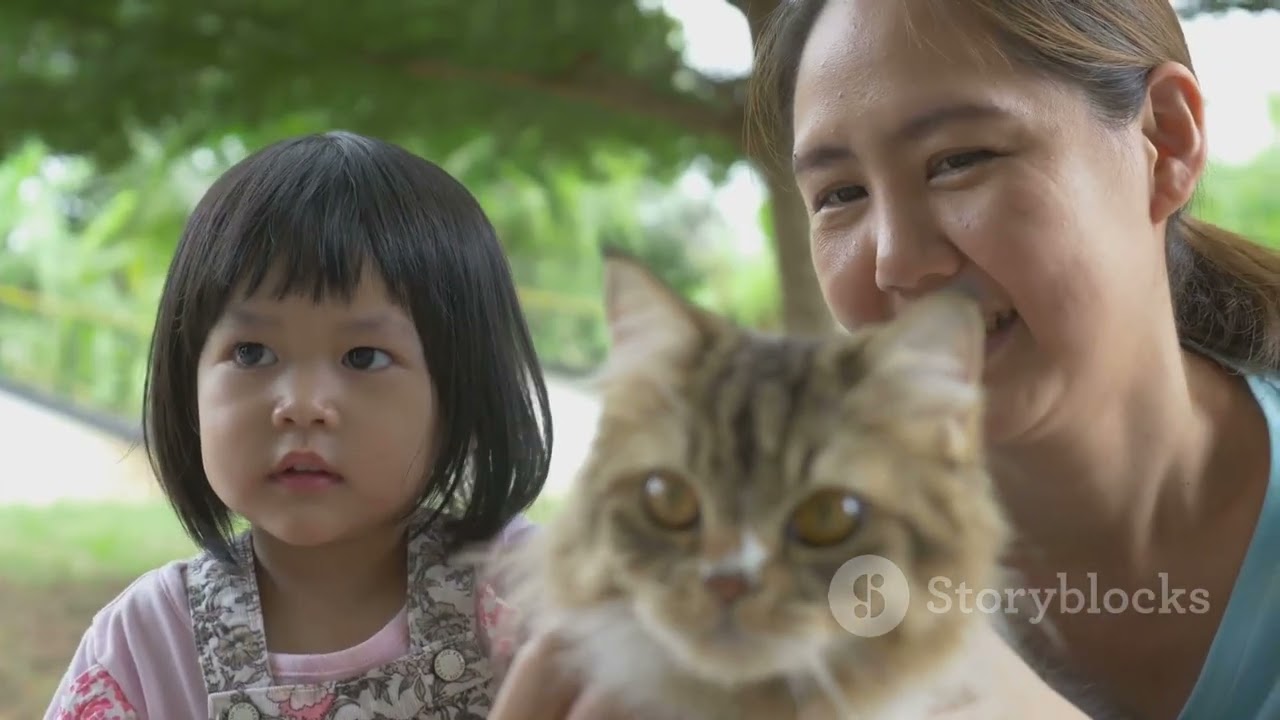 Kisah haru seekor kucing yang kehilangan anaknya karena sakit 