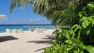 Tropical Hideaways Live Stream