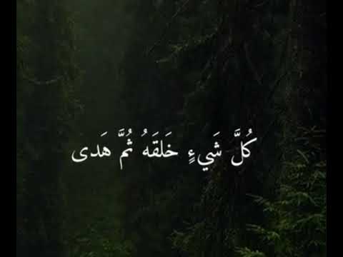 {قال فمن ربكما ياموسي}  القارئ رعد الكردي 💚