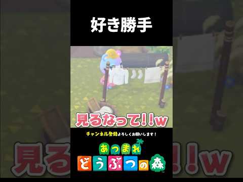 【あつ森】好き勝手やる奴ら